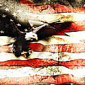 Bald Eagle Bursting Thru Flag