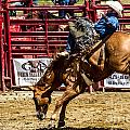 Bareback Riding