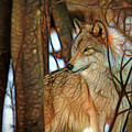 Timber Wolf Colorful Art